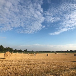 WhatsApp Image 2025-07-20 at 8.38.01 PM (1) (1)