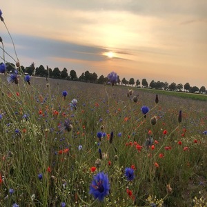 WhatsApp Image 2025-07-20 at 8.38.01 PM (3)